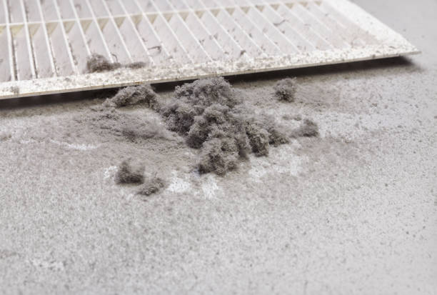 Best Air Duct Mold Removal  in Ephrata, PA